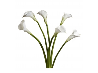 Floare artificiala "Calla"  White H77, 1 buc