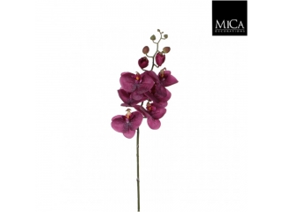 Floare artificiala "Phalaenopsis" Purple  H80cm, 1 buc.