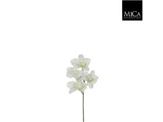 Floare artificiala "Phalaenopsis" Cream  H26 cm, 1 buc.