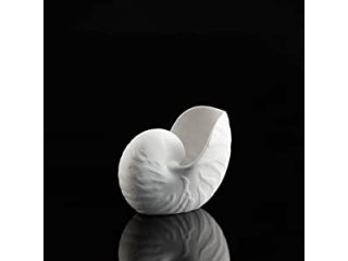 Vaza "Conch", 12,5 cm, 1 buc