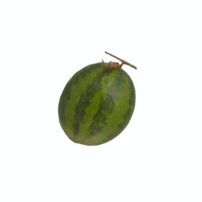 Fruct artificial "Pepene", H17 cm, D15 cm, 1 buc, Artificial fruits, 