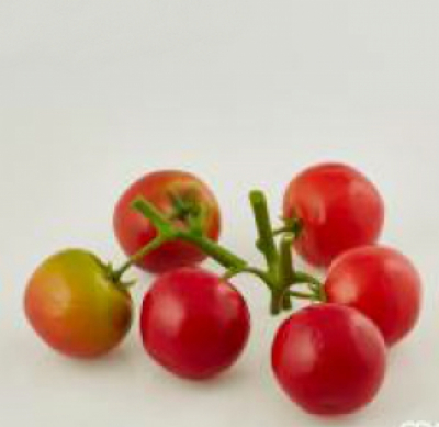 Ramura artificiala cu rosii, D06 cm,1 buc, Fructe și legume artificiale , 