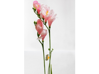 Floare artificiala "Fresia" h78cm, pink, 1 buc.