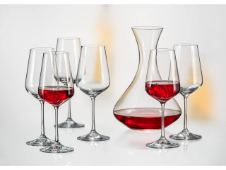 "Sandra" Set  6 pocale + decanter , 7 buc.