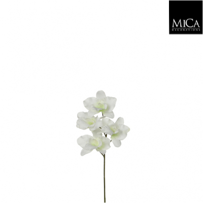 Floare artificiala "Phalaenopsis" Cream  H26 cm, 1 buc., Flori si coronite artificiale , 