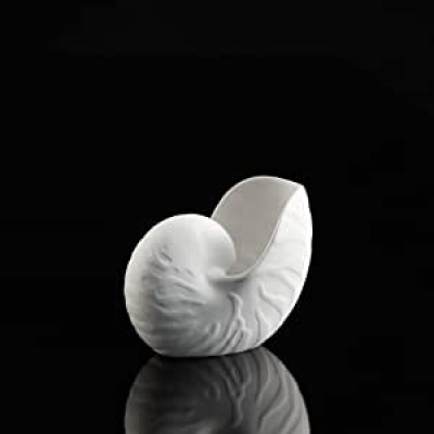 Vaza "Conch", 12,5 cm, 1 buc, Vaze, 