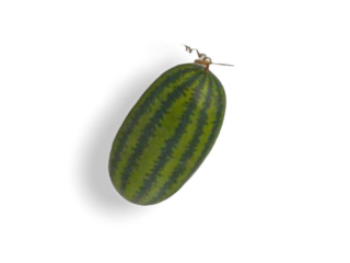 Fruct artificial "Pepene", H28 cm, D15 cm, 1 buc
