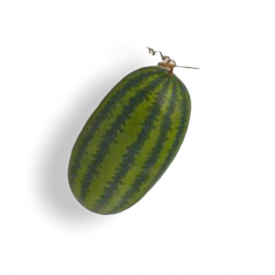 Fruct artificial "Pepene", H28 cm, D15 cm, 1 buc, Fructe și legume artificiale , 