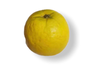 Fruct artificial "Mandarina", D 8 cm, 1 buc.