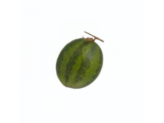 Fruct artificial "Pepene", H17 cm, D15 cm, 1 buc