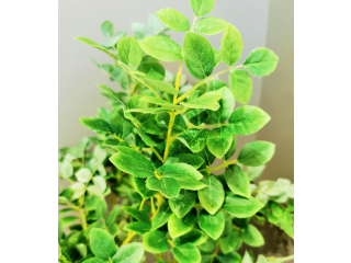 Floare artificiala "Folia acacia" h83cm, green, 1 buc.
