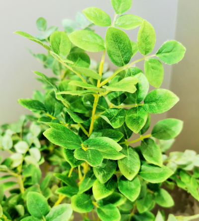 Floare artificiala "Folia acacia" h83cm, green, 1 buc., Flori artificiale, 