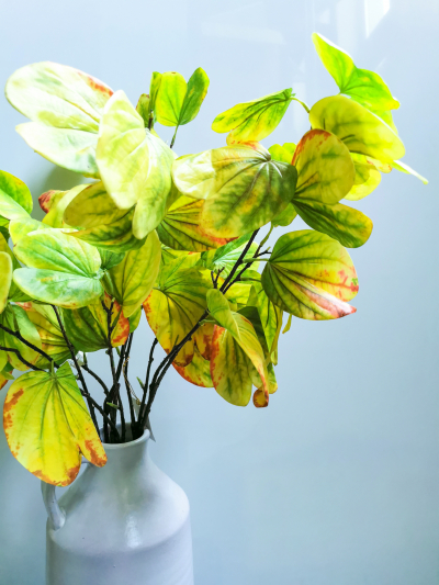 Floare artificiala "Bauhinia"  h82 cm, 1 buc., Flori artificiale, 